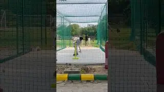 Cricket Basics: Hit & Run Drill for Better Game Awareness! #cricket #cricketshorts #passion #love