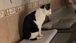 سندس والكرة وليث والنضرة العجيبة والغريبة😀