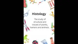 What is histology? | Quick Bio Buddy