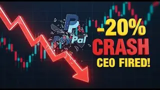 PayPal Shares CRASH 20%! CEO Fired + 2026 Profit Warning 📉