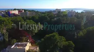 Lifestyle, Properties in Portals
