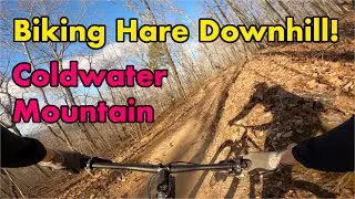 Biking Hare, Epic Downhill on Coldwater Mountain