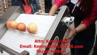 QX-22 apple and fruit washing cleaning machine, washer cleaner, ozone air bubble washer