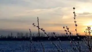 winter2014