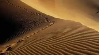 Gipsy Kings - Viento del Arena