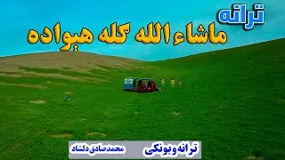 ترانه | ماشاءالله هېواد ماشاءالله ګله هېواد : ترانه ویونکی : محمد صادق دلشاد