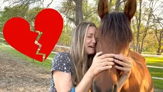 Selling my heart horse 💔😢