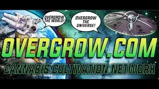 OverGrow PODCast: episode #34 of infinity.