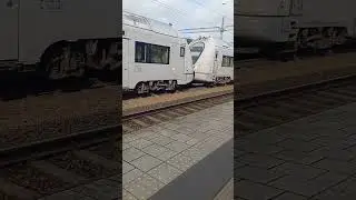 SJ regional nach  Stockholm &uuml;ber Sk&ouml;vde. 2x X40. Einfahrt in Falk&ouml;ping. #zug #shorts