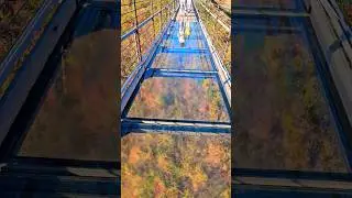 Gatlinburg Skybridge, Glass Bridge, Smoky Mountains, Tennessee #shorts #usa #gatlinburg #tennessee