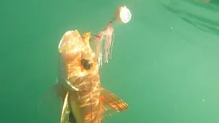 How to use the Sunakku Slow Jig / Slider / Kabura (Black Magic Tackles) - NZ Basic Fishing Tutorials