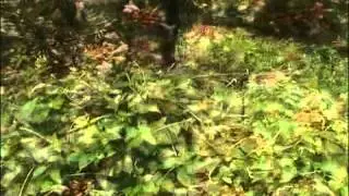 North Carolina Golf Communities-River's Edge Golf Club & Plantation