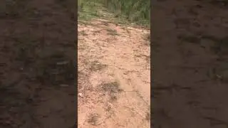 Exploring the Haunted Burnt Bridge in Purvis Mississippi