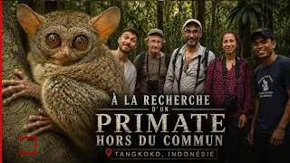 Animal Trafic : Bienvenue À Tangkoko (AMDE X UNIVET NATURE)