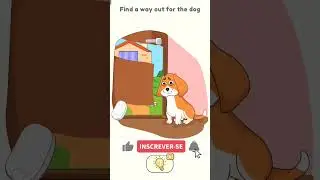 Find a way out for the dog 🐶 | DOP 2