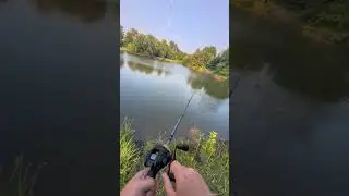 2lber on a whopper plopper.