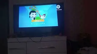 comerçou a seguir zoomoo kids