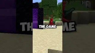Invincibility Glitch Using Just a Nether Portal