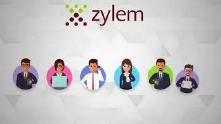 Let Your Business Grow with the Help of Zylem MIS Solutions