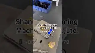 Factory direct supply auto 2-lines siomai /shaomai / sumai /shumai /siewmai /siomay making machine