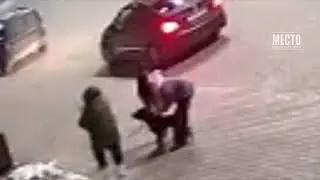 Питбуль загрыз чихуахуа на Торфяной