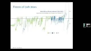 Anna Zhukova: Fast & accurate estimation of BDEI epidemiological model from phylogenetic trees