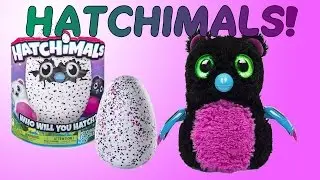 See All The Fun Things Hatchimal Bearakeet Does!