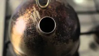 заставка видео канала TVidiot