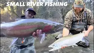 ULTRA SMALL coastal river Winter Steelhead Fishing