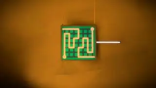 The Witness - How to Speedrun 