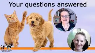 Answering questions about dog and cat behaviour: Enrichment, barking, stress, and cooperative care