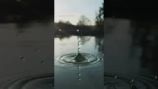 Rippling Pond ASMR 💦 | 10-sec Water ASMR Loop for Reflection & Calm