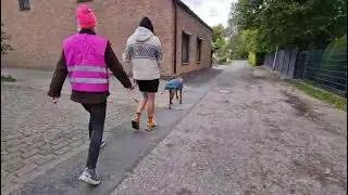 8. Training 