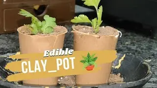 EdibleClay_Pot🪴#vlog#vlogs#youtube#viral#viralvideos#youtubevideos#trending#trend#viralvideo#yt#food