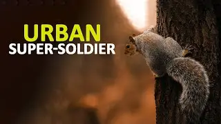 3000 Years of Evolution vs. Your Bird Feeder: Who Wins?