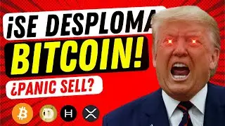 🔴 EN VIVO: ¿HASTA DÓNDE CAERÁ BITCOIN HOY? 👉 Revisión a Fondo: Oro, Plata, EURUSD
