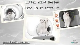 Litter Robot Review 2025: Is It Worth It for Cat Owners in the USA?