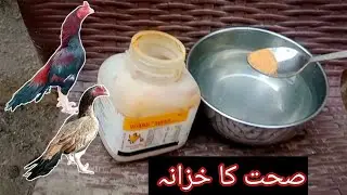 Secret of Strong & Healthy Birds. Best Supplement for Egg Production۔ How to Use Vitasol Correctly