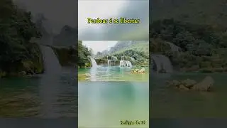 🌿 Ref&uacute;gio de F&eacute; - Perdoar para se  LIBERTAR.