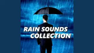 Soft Rain Sounds