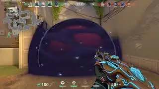 paranoia