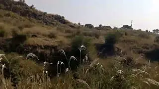 panjab potohar area by train