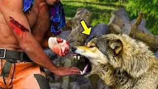 Truck Driver Saved an Injured Wolf Cub  An Hour Later, It Did Something Shocking!