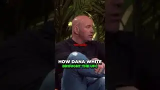 How Dana White Brought The UFC