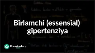 Birlamchi (essensial) gipertenziya | Gipertenziya | Tibbiyot