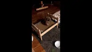 Rabbit's🐰 Small Wooden Bed 🛏️