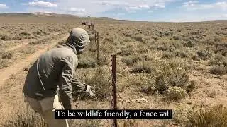 Wildlife Friendly Modifications on the Boundary Fence
