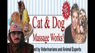 Talking With Maryjean Bullner The Cat Massage Lady