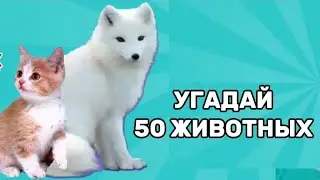 СУПЕР  УГАДАЙ ЖИВОТНЫХ 