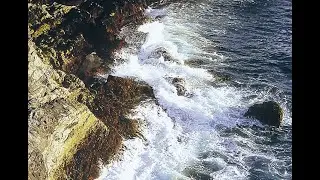 Tidal Forces Environmental Essence ~ by Alaskan Essences